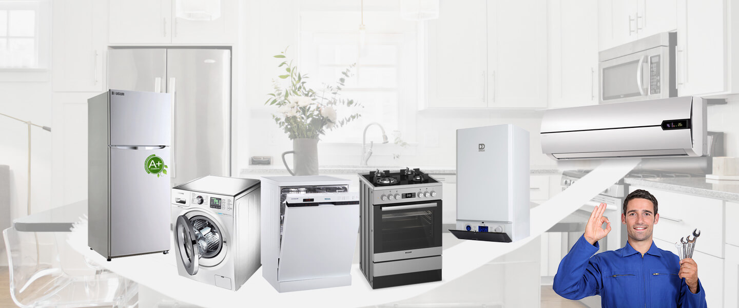 19 Mayıs Electrolux Servisi